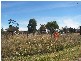 16 & 18 Smith Street, Hillgrove NSW 2350