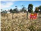 16 & 18 Smith Street, Hillgrove NSW 2350