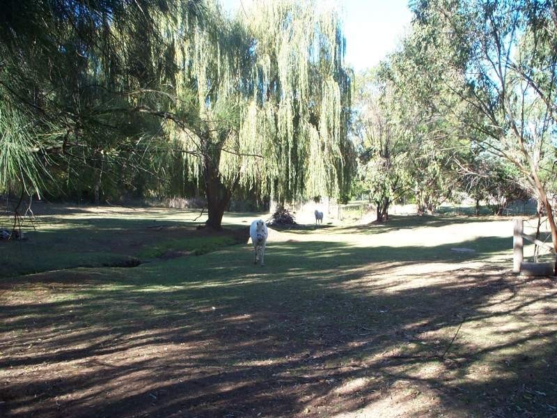 209A Markham Street, Armidale NSW 2350