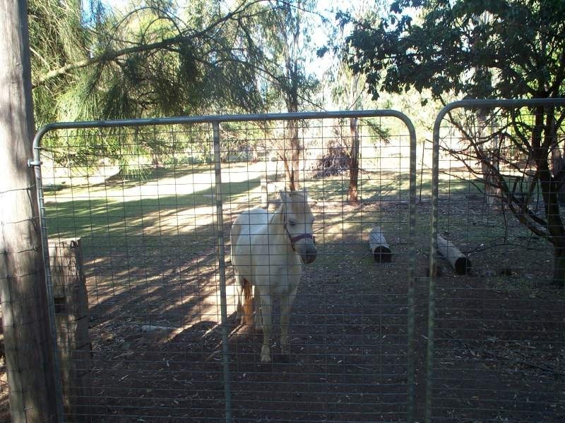 209A Markham Street, Armidale NSW 2350