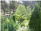 55 Norris Drive, Armidale NSW 2350