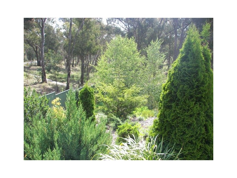 55 Norris Drive, Armidale NSW 2350