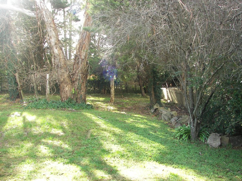 Armidale NSW 2350