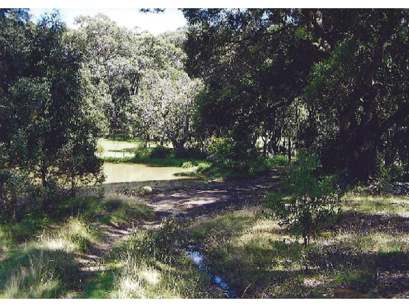 Glencoe NSW 2365