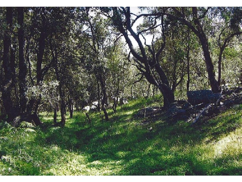 Glencoe NSW 2365