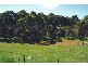 Glencoe NSW 2365