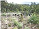 Armidale NSW 2350