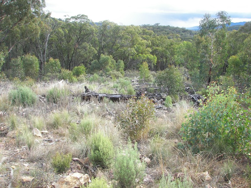 Armidale NSW 2350