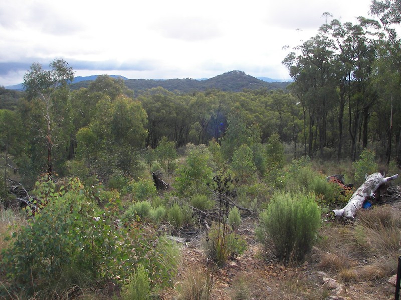 Armidale NSW 2350