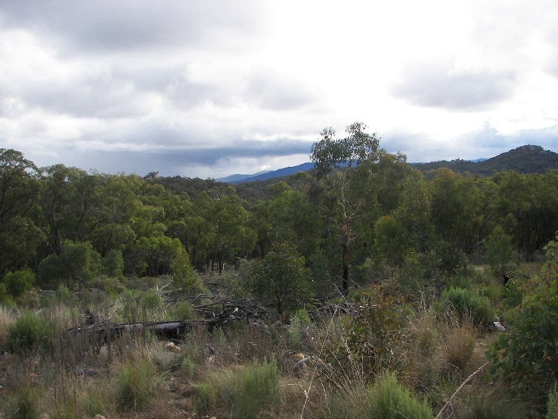 Armidale NSW 2350