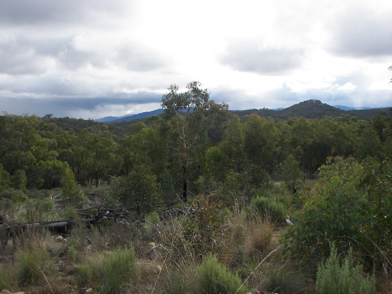 Armidale NSW 2350