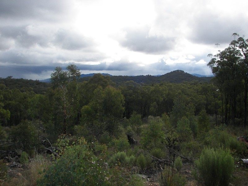 Armidale NSW 2350