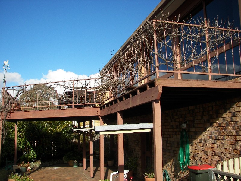 3 Turner Street, Armidale NSW 2350
