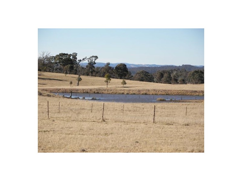 Armidale NSW 2350