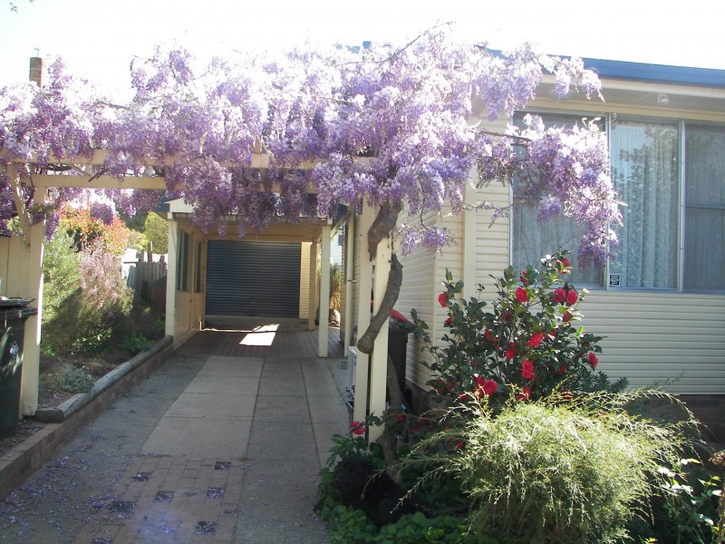 Armidale NSW 2350