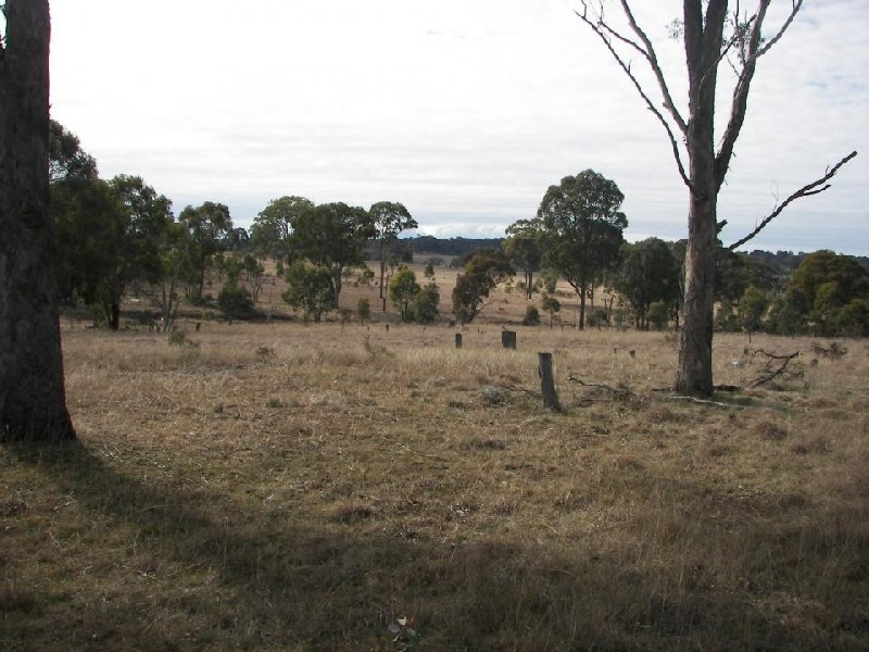Armidale NSW 2350