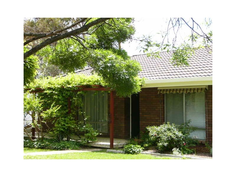 Armidale NSW 2350