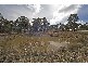 9 Lentara Road, Invergowrie NSW 2350