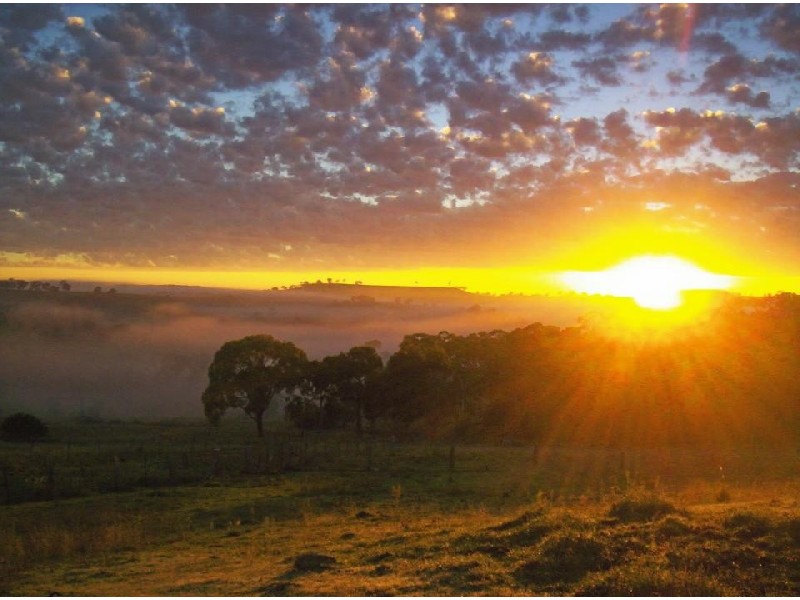 20 Green Street, Guyra NSW 2365