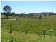‘Ellera Cottage Enmore Road, Uralla NSW 2358
