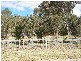 Armidale NSW 2350