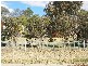Armidale NSW 2350