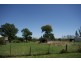 Guyra NSW 2365