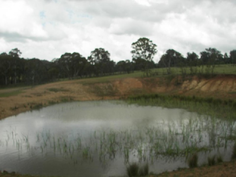 Lot 138 Amaroo Road, Armidale NSW 2350