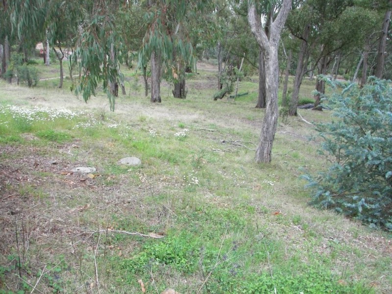 49 Norris Drive, Armidale NSW 2350