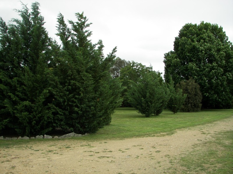 Invergowrie NSW 2350