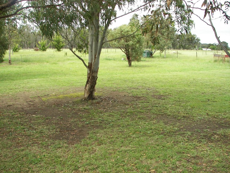 Invergowrie NSW 2350