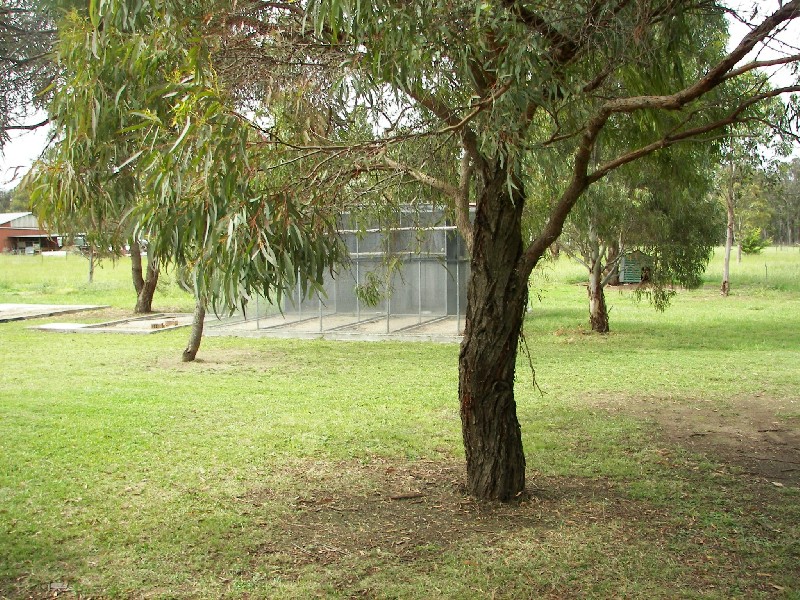 Invergowrie NSW 2350