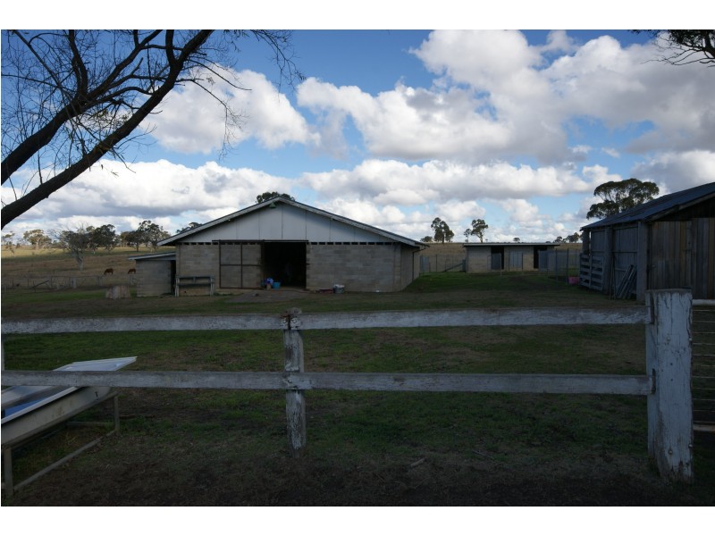 Armidale NSW 2350
