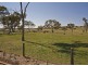 Armidale NSW 2350