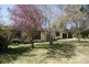 Armidale NSW 2350