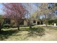Armidale NSW 2350