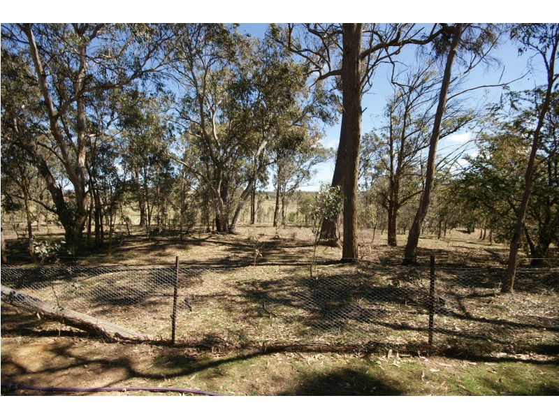Armidale NSW 2350