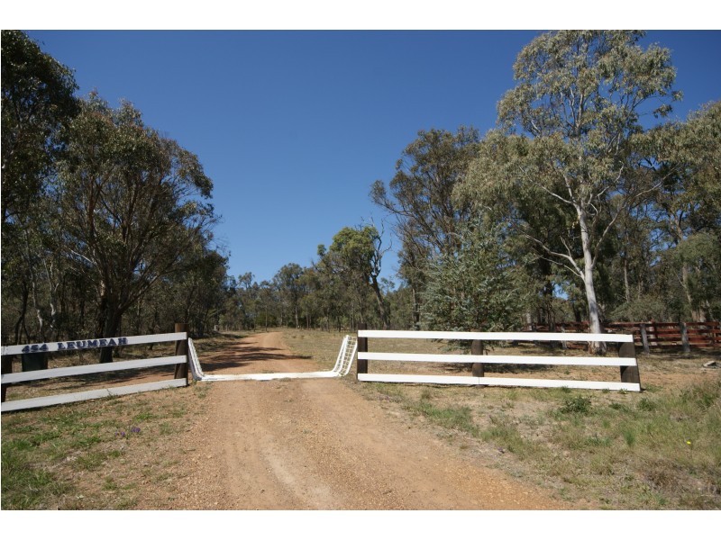 Armidale NSW 2350