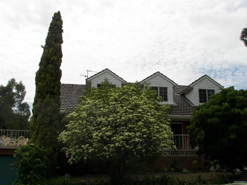 9 Thompson Street, Armidale NSW 2350