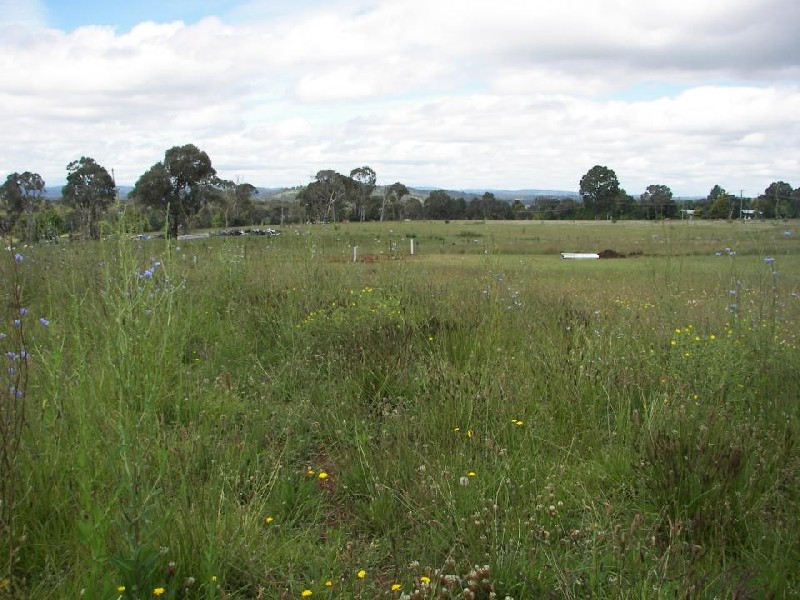 Armidale NSW 2350