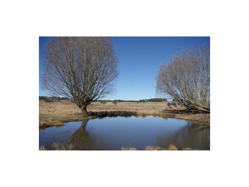 Black Mountain NSW 2365