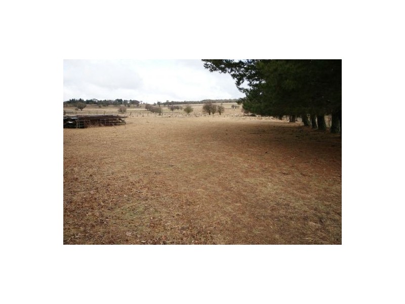 Black Mountain NSW 2365