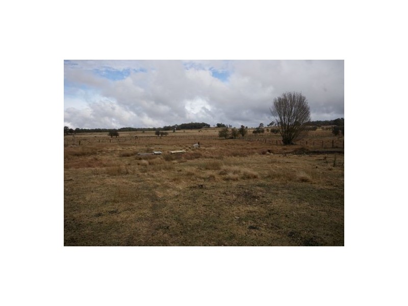 Black Mountain NSW 2365