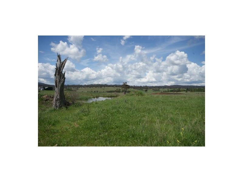 Armidale NSW 2350