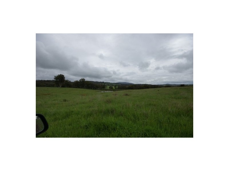 Armidale NSW 2350