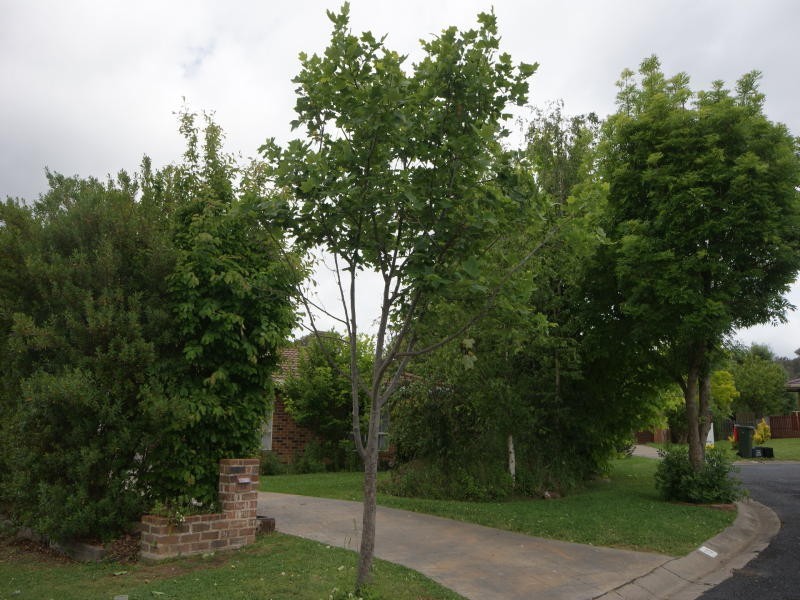 13 Northey Drive, Armidale NSW 2350