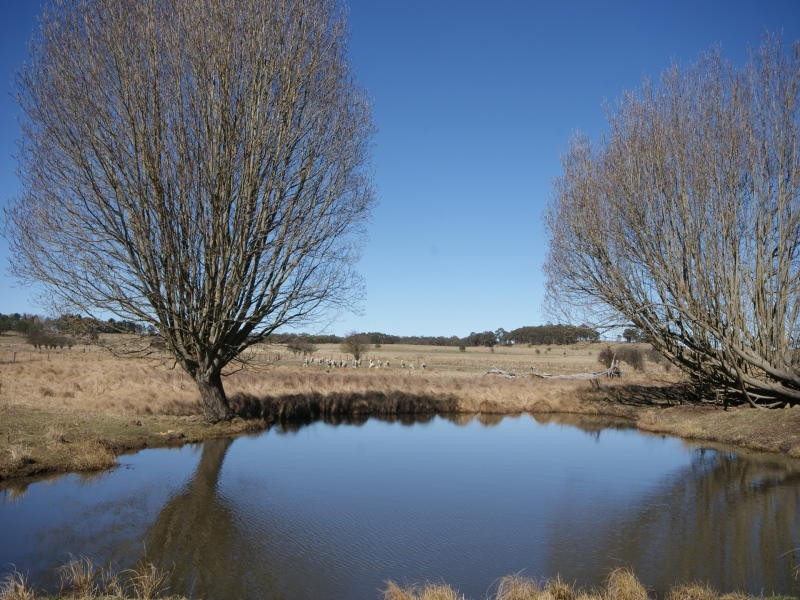 Black Mountain NSW 2365