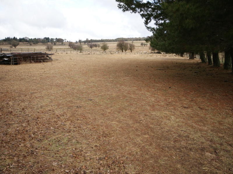 Black Mountain NSW 2365