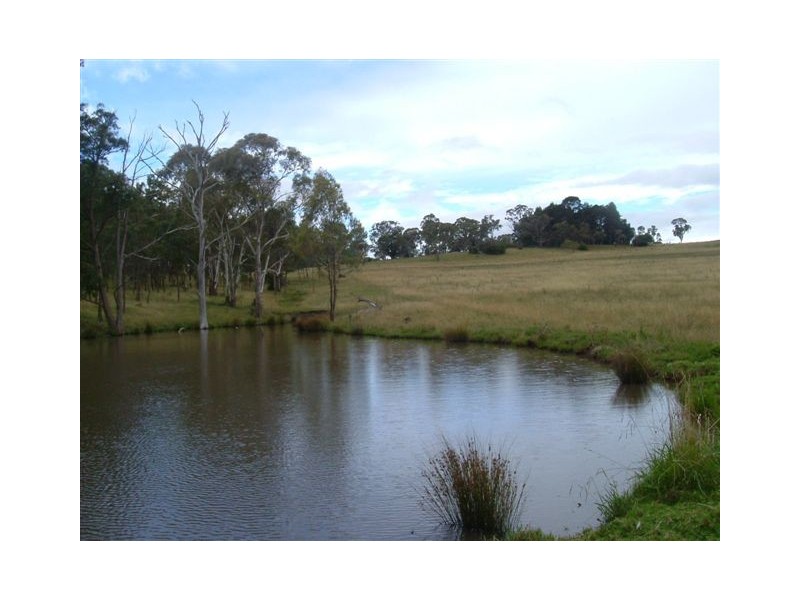 187  Clarks Road,, Armidale NSW 2350