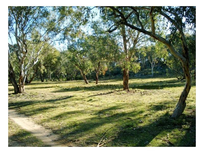 302 Moonbi Gap Road, Moonbi NSW 2353